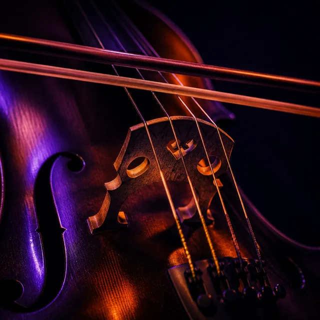 Cello bridge and bow in dramatic violet and orange stage light